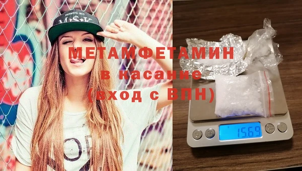 шишки Мегион