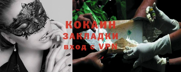 шишки Мегион