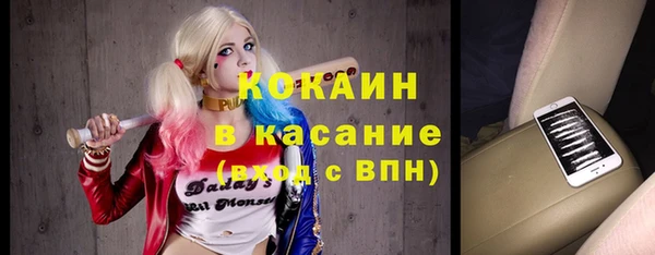 шишки Мегион