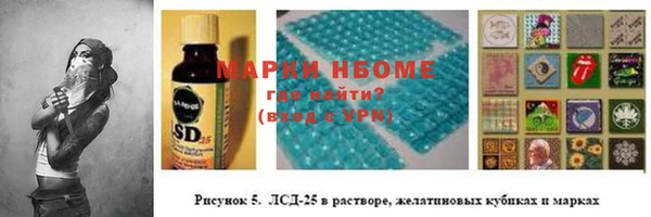 шишки Мегион