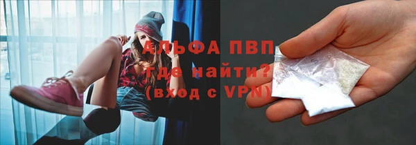 шишки Мегион