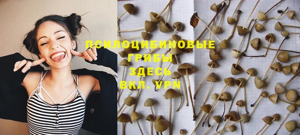экстази Медногорск