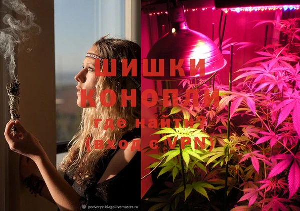 spice Медвежьегорск