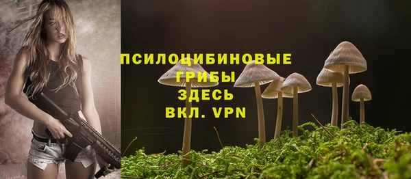 шишки Мегион