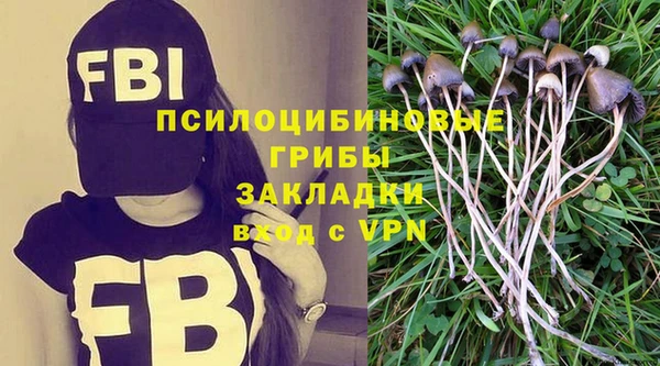 шишки Мегион