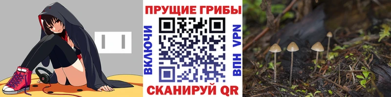 Псилоцибиновые грибы прущие грибы где купить наркотик Называевск